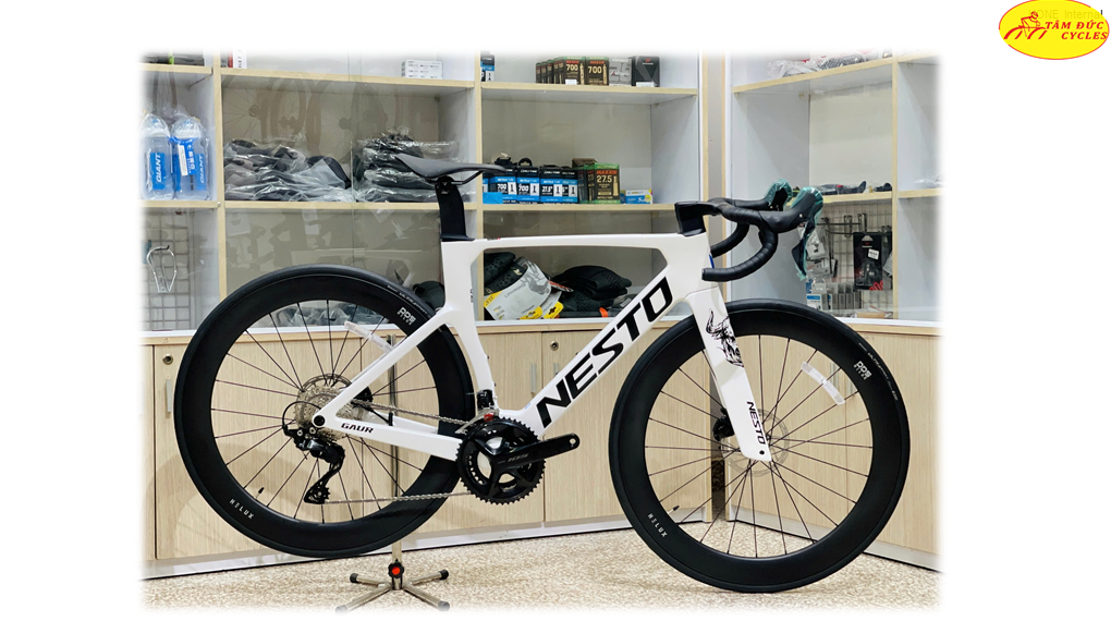 Nesto gaur Tâm Đức Bike