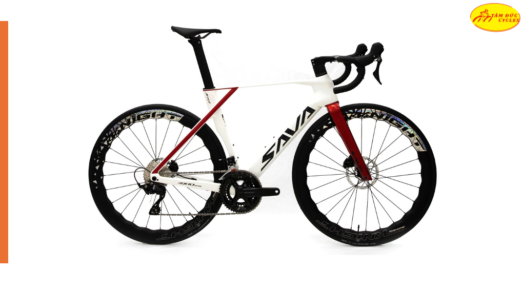 Sava x10 Tâm Đức Bike