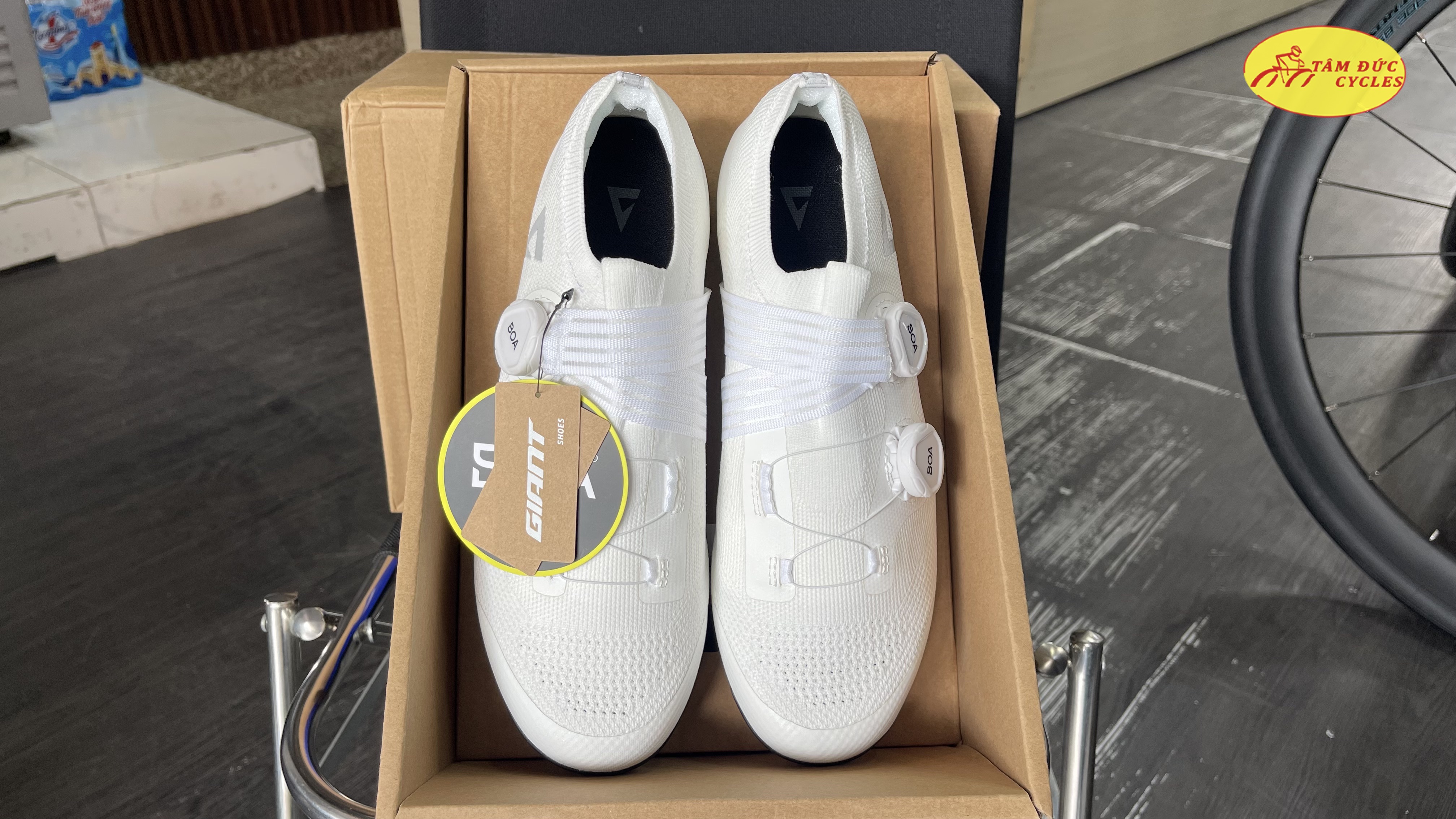 Giày Giant Flyknit CF may 3D
