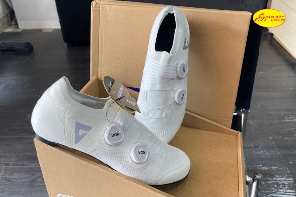 Giày Giant Flyknit CF may 3D