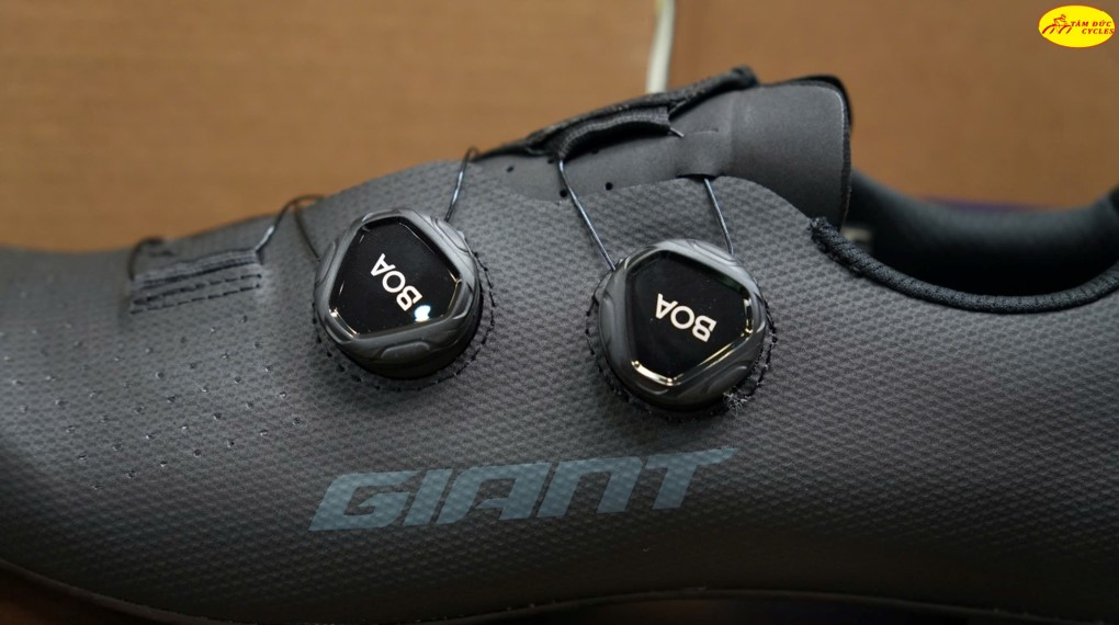 giày giant stalight cf