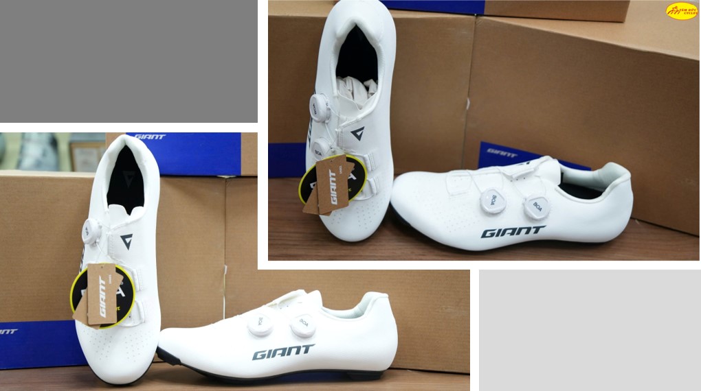 giày giant stalight cf