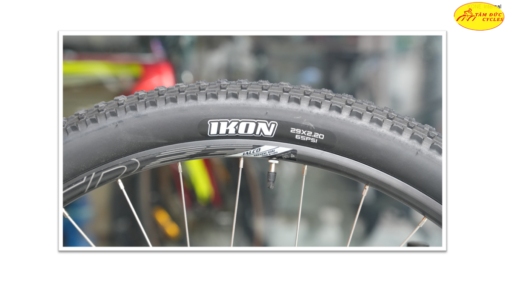 MTB BIANCHI NITRON