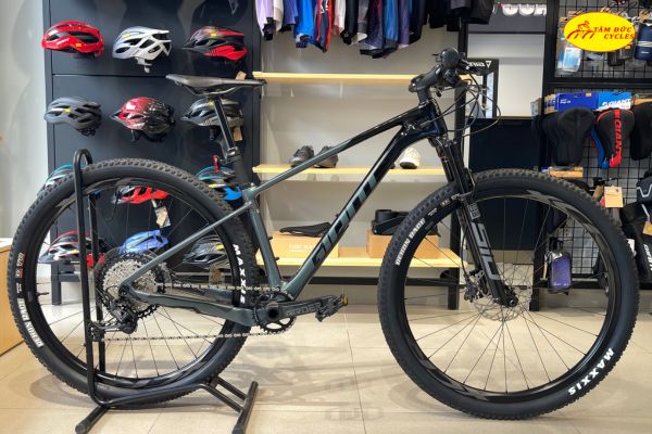 GIANT XTC ADV SL 29 1 2024