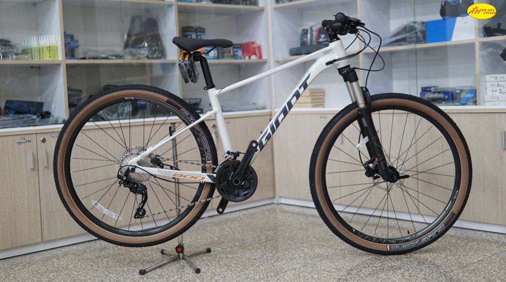 Xe Đạp MTB XTC 800 2023