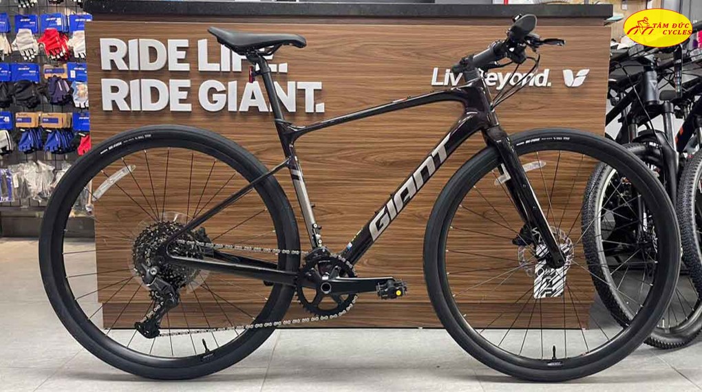 GIANT FASTROAD AR ADV 2 MẪU MỚI 2025