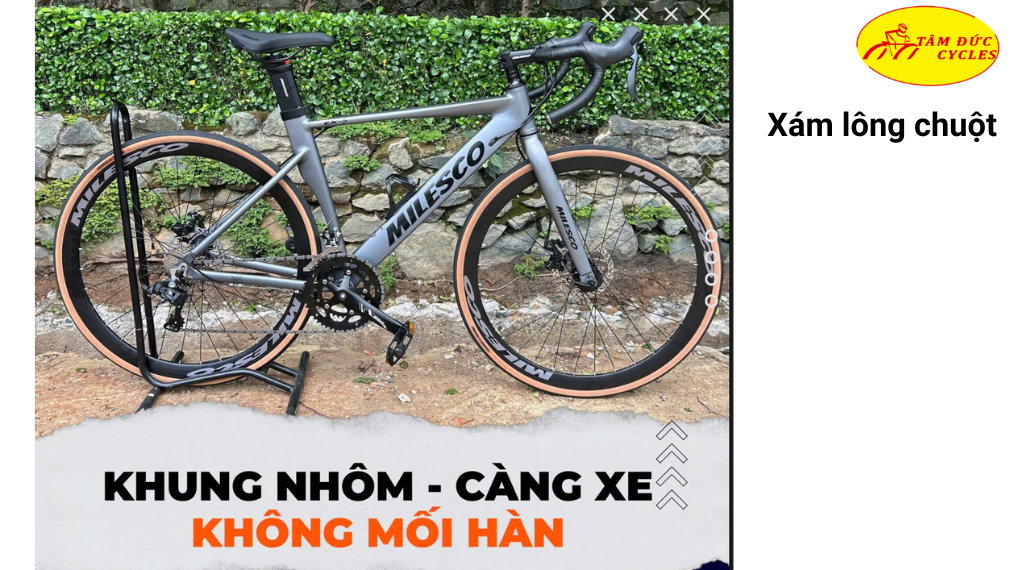 Xe đạp đua Road MILESCO EX-S 