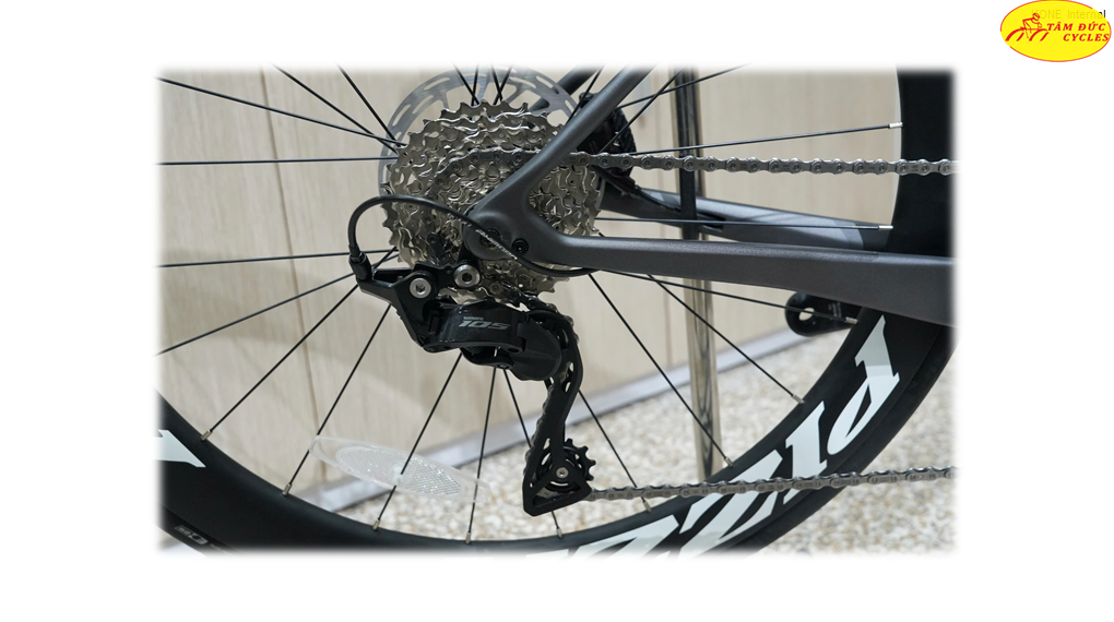 nesto leopard