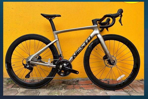 Xe đạp đua Nesto Ostrich 2024