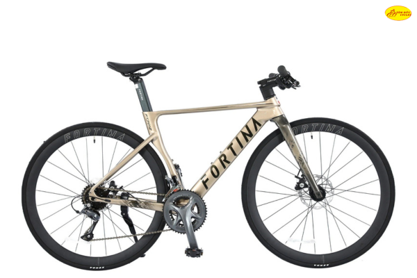 Xe đạp đường phố FORTINA FT7012 Shimano Claris R2000