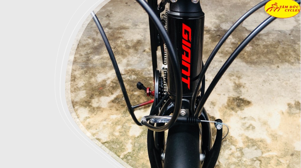 Xe đạp Touring Giant Escape 3 2021