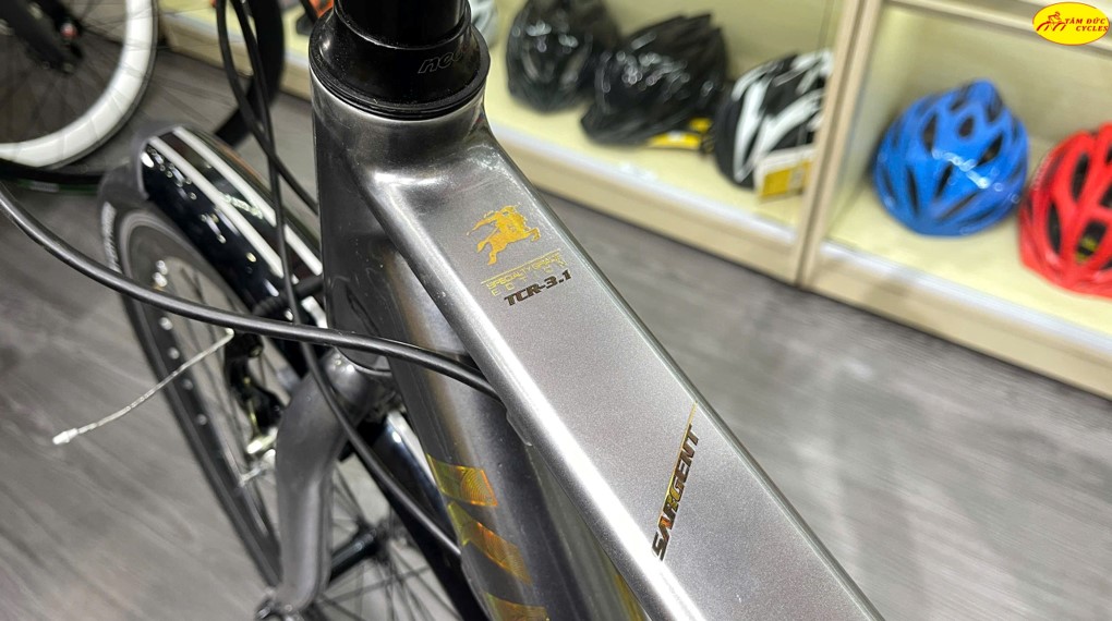 KNIGHT TCR 3.1