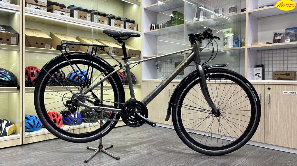 KNIGHT TCR 3.1