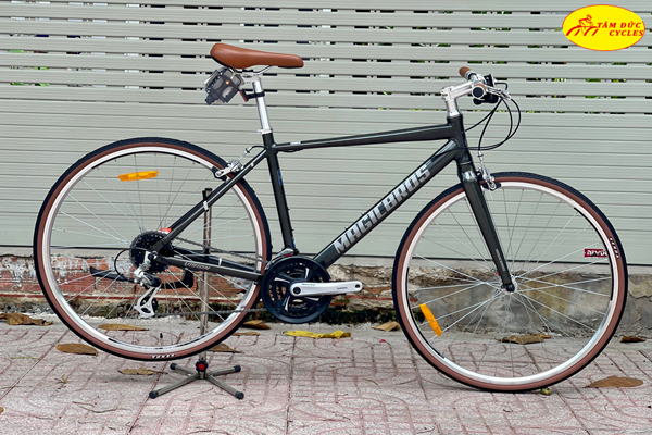 Xe đạp tay ngang MAGICBROS VS24S Vision